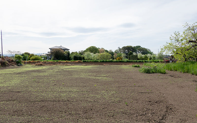 土地の売却・活用
